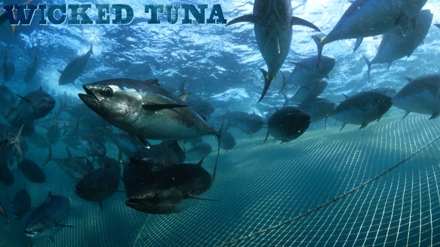 what time is Wicked Tuna on