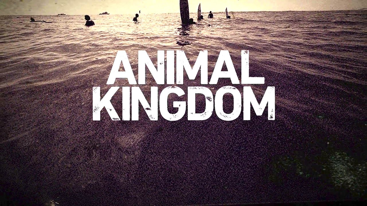 What Time Does 'Animal Kingdom' Come On Tonight?