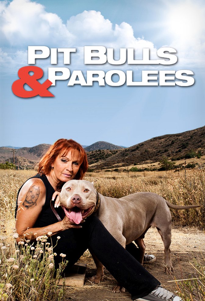 Pit Bulls and Parolees photos and posters.