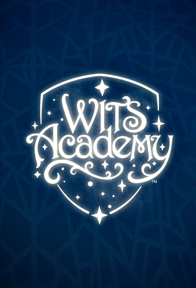 WITS Academy poster