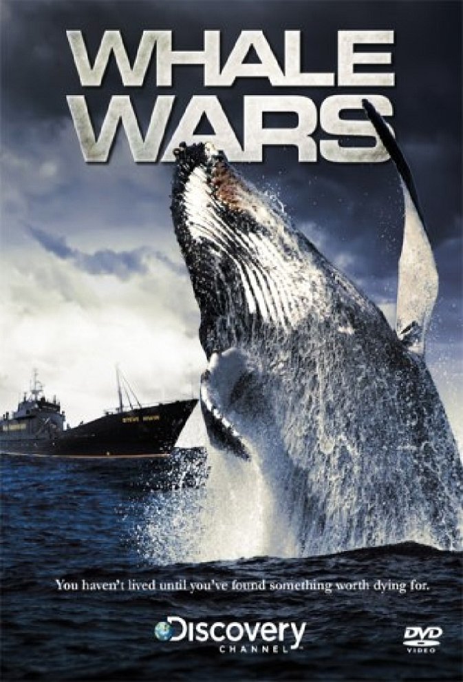 What Time Does 'Whale Wars' Come On Tonight?