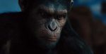 rise-of-the-planet-of-the-apes-5701