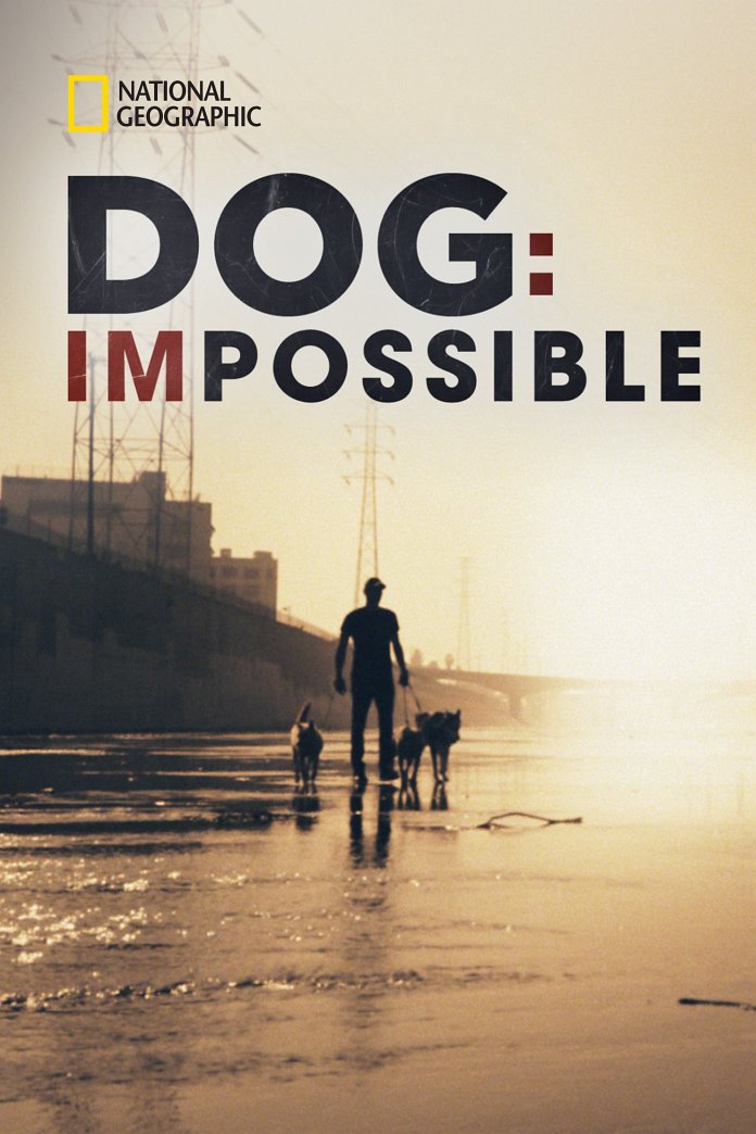 Dog: Impossible poster