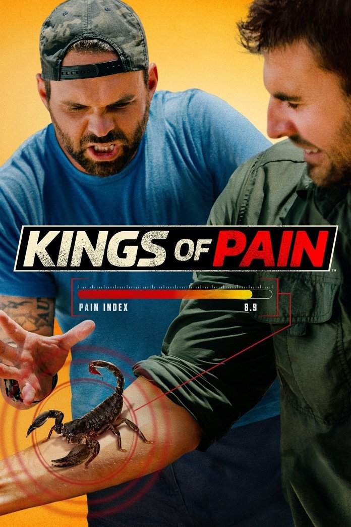Kings of Pain poster