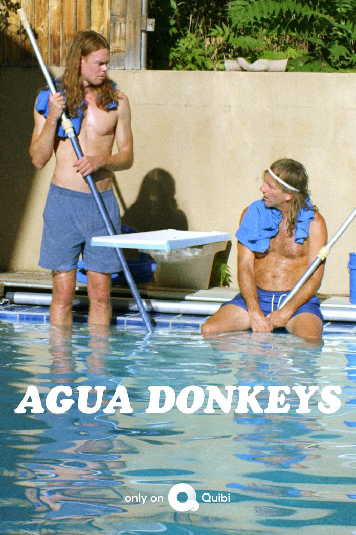 Agua Donkeys poster