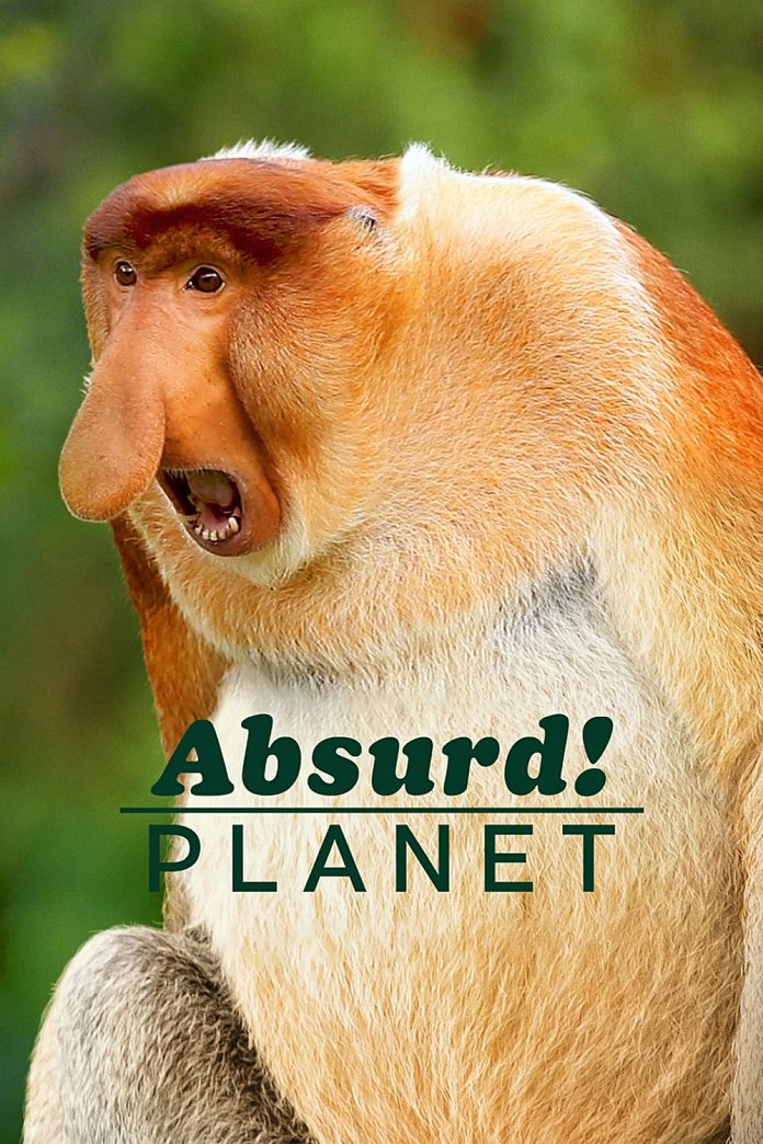 Absurd Planet poster