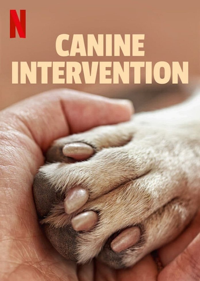Canine Intervention poster