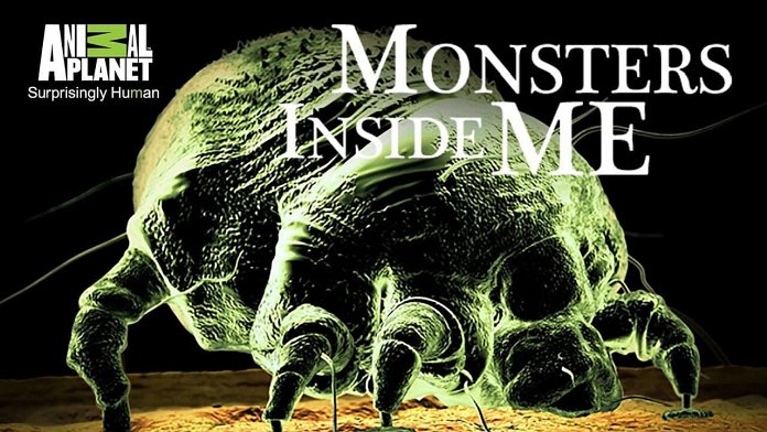 Monsters Inside Me season  date