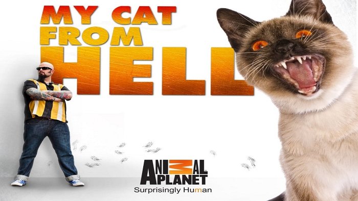 My Cat from Hell season  date