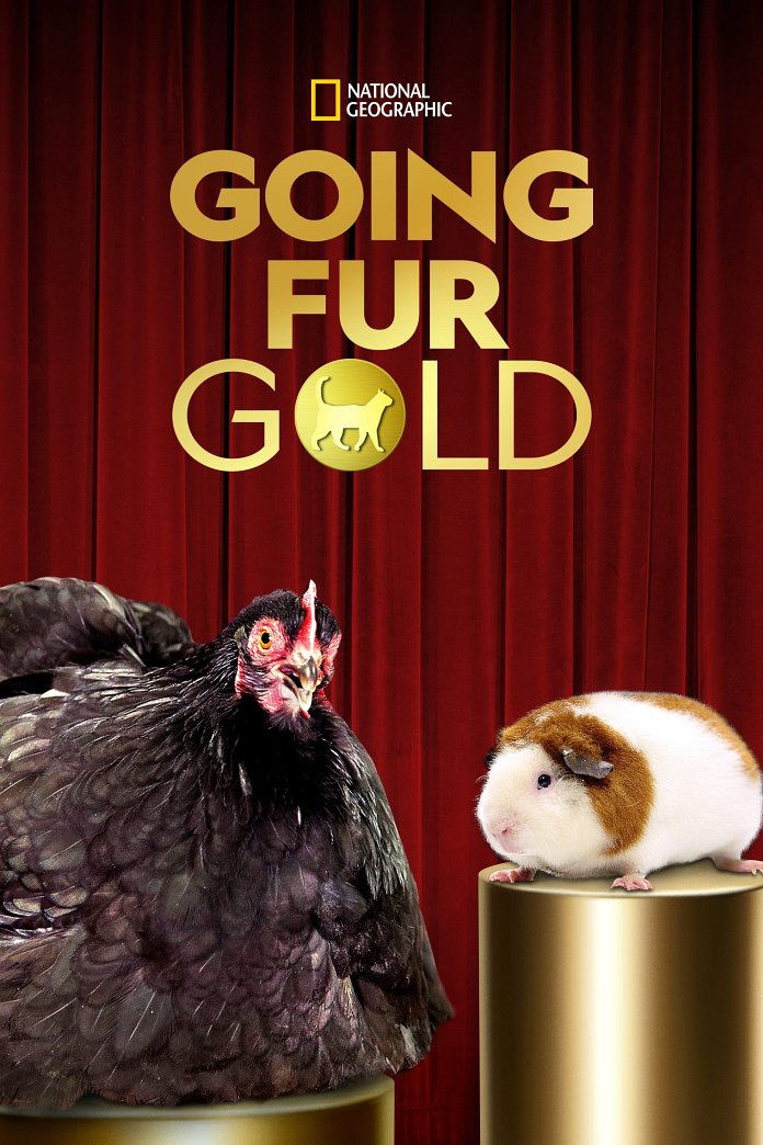 Going Fur Gold poster