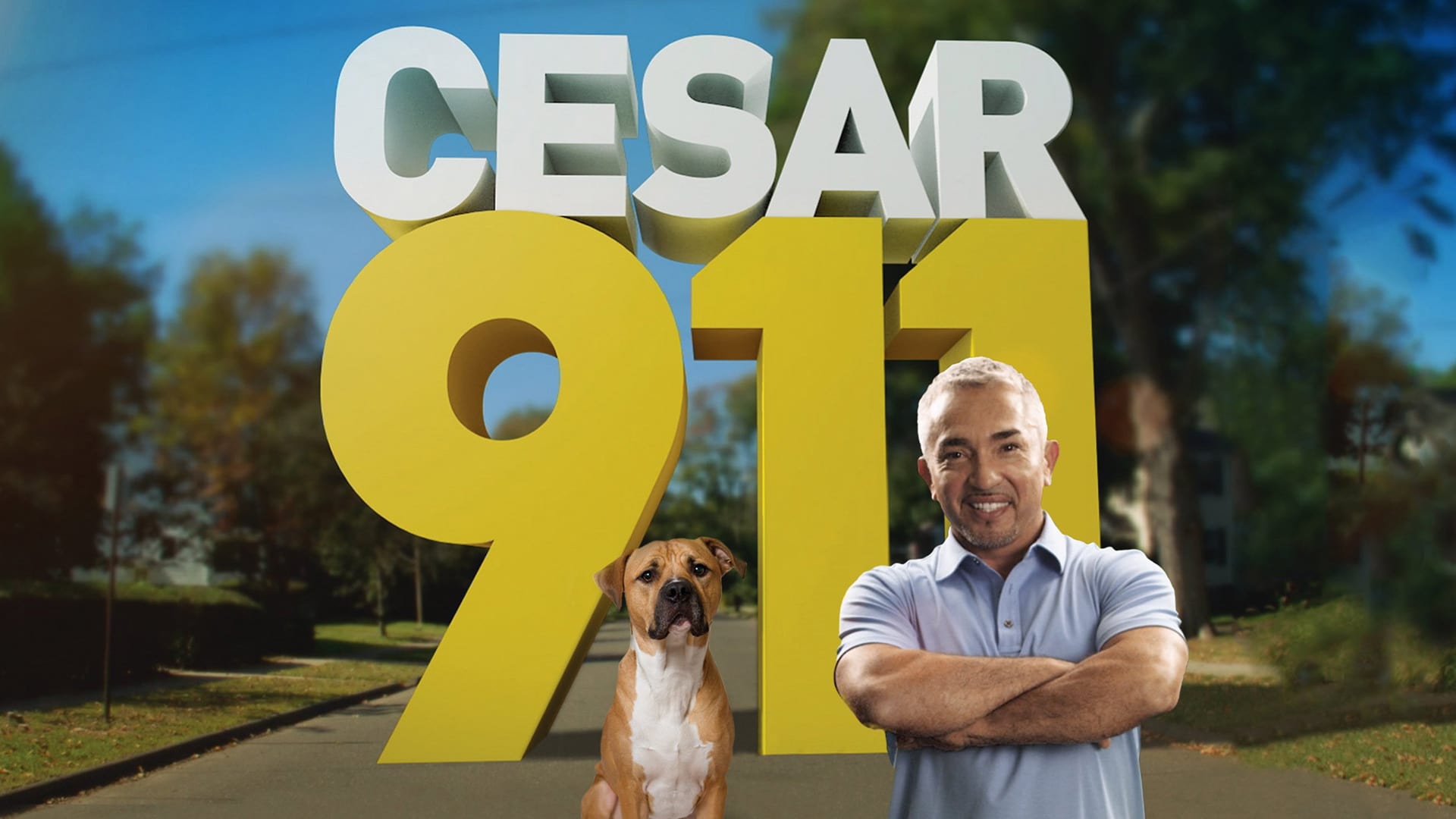 season 5 of Cesar 911