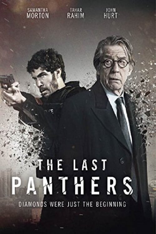 The Last Panthers poster