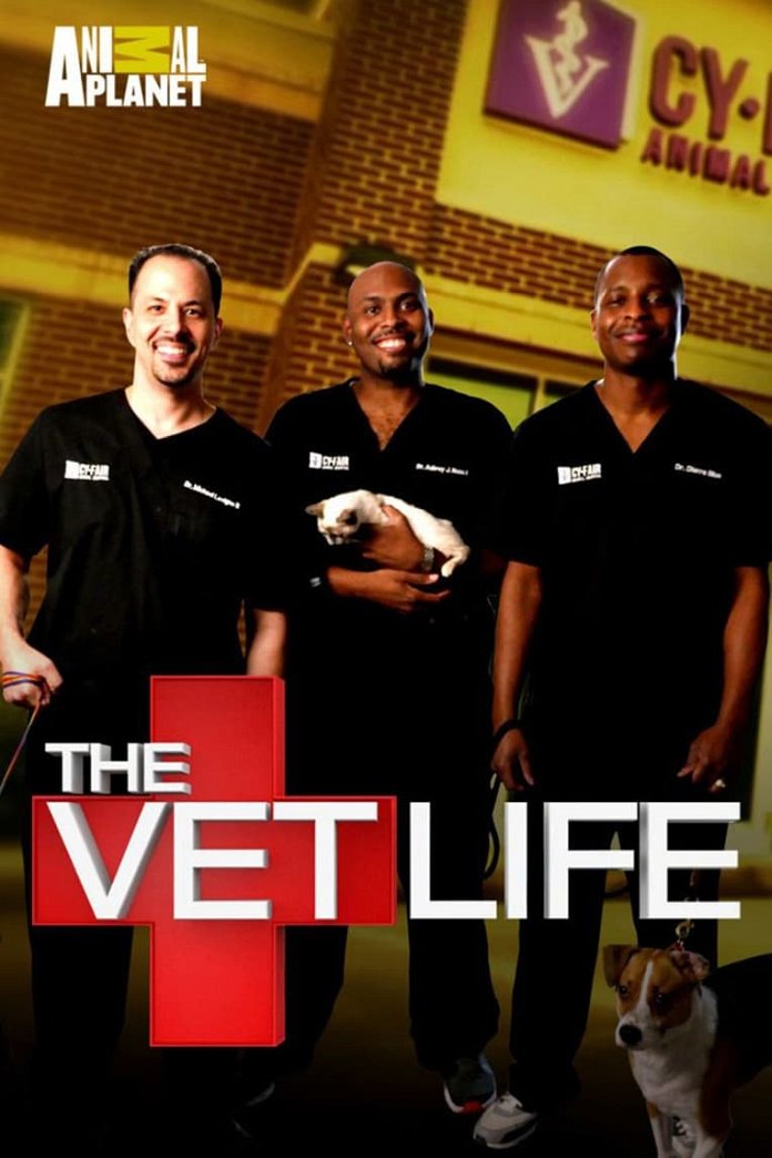 The Vet Life Season 7 Release Date, Time & Details Tonights.TV